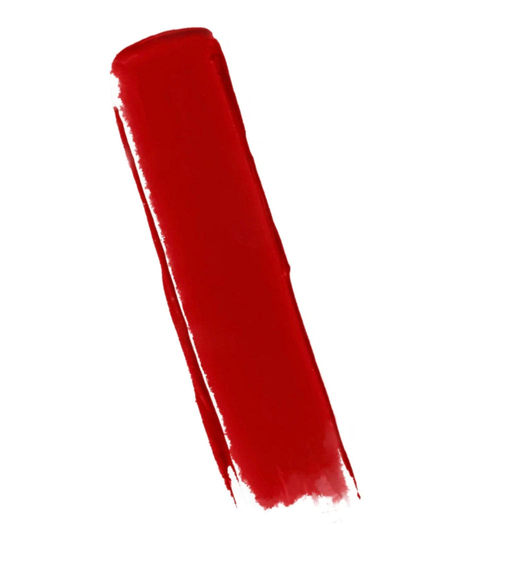 Bonfire Lipstick FREE SHIPPING