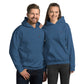 BBS Unisex Hoodie FREE SHIPPING